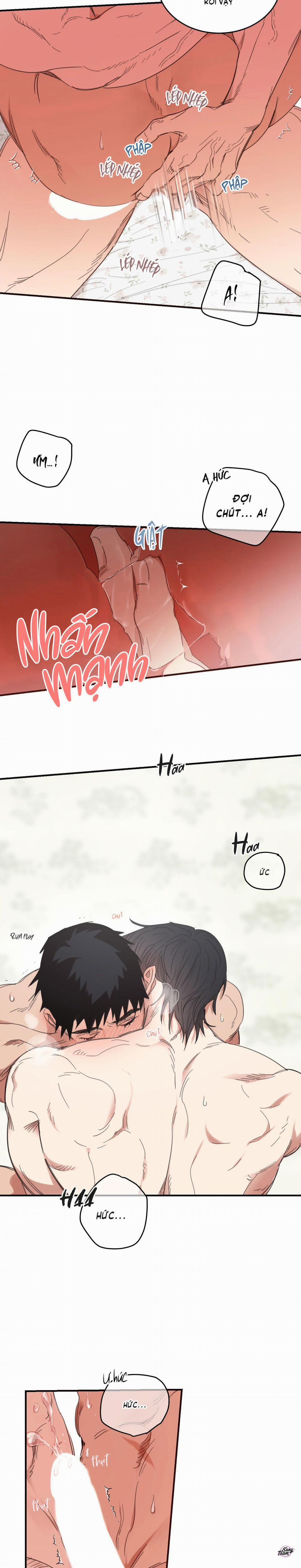 Căn Nhà Mặt Trời Mọc 23 trang 11