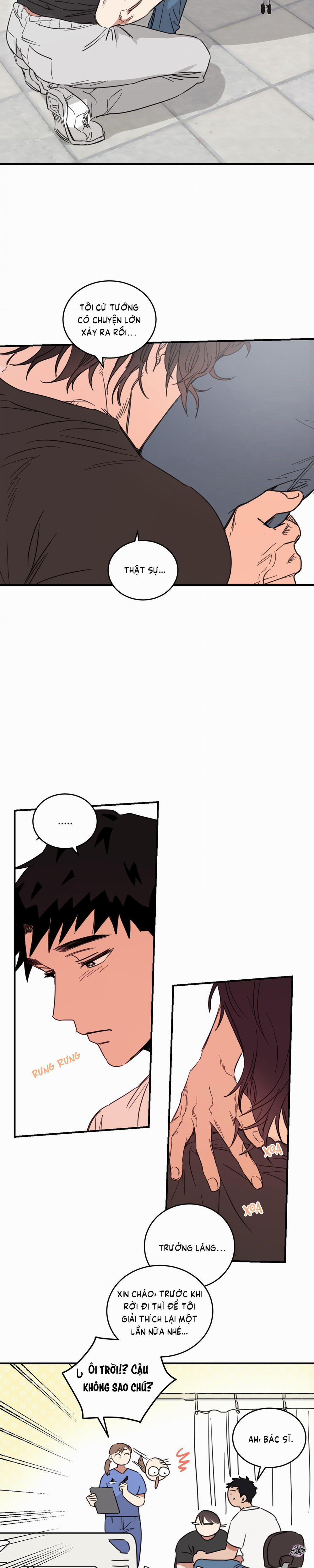 Căn Nhà Mặt Trời Mọc 27 trang 11