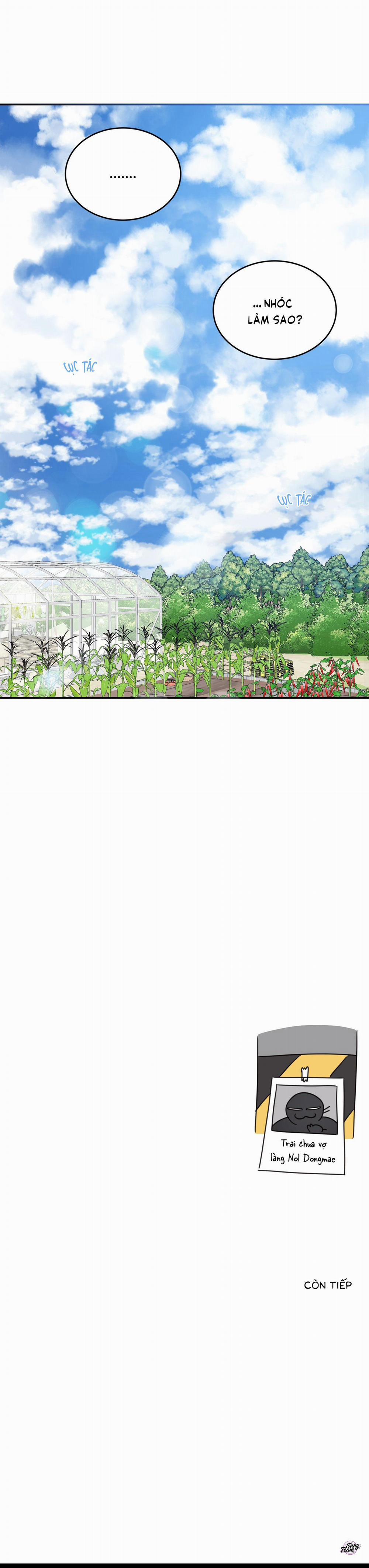 Căn Nhà Mặt Trời Mọc 33 trang 19