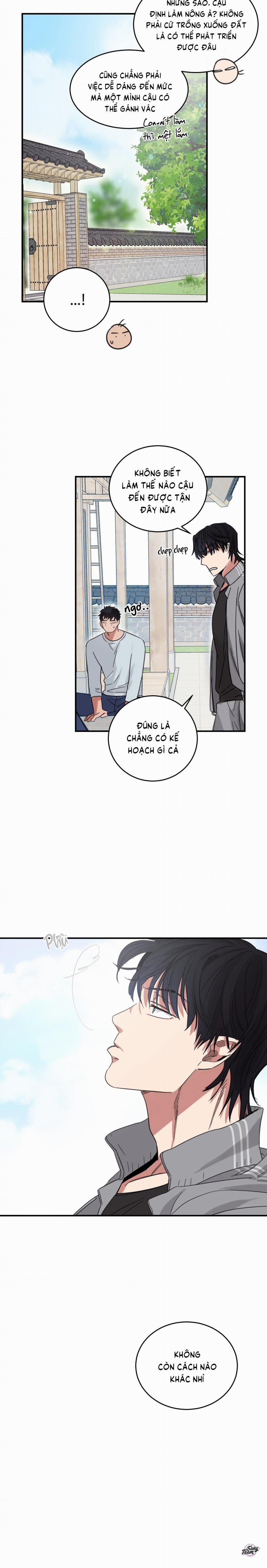 Căn Nhà Mặt Trời Mọc 4 trang 11