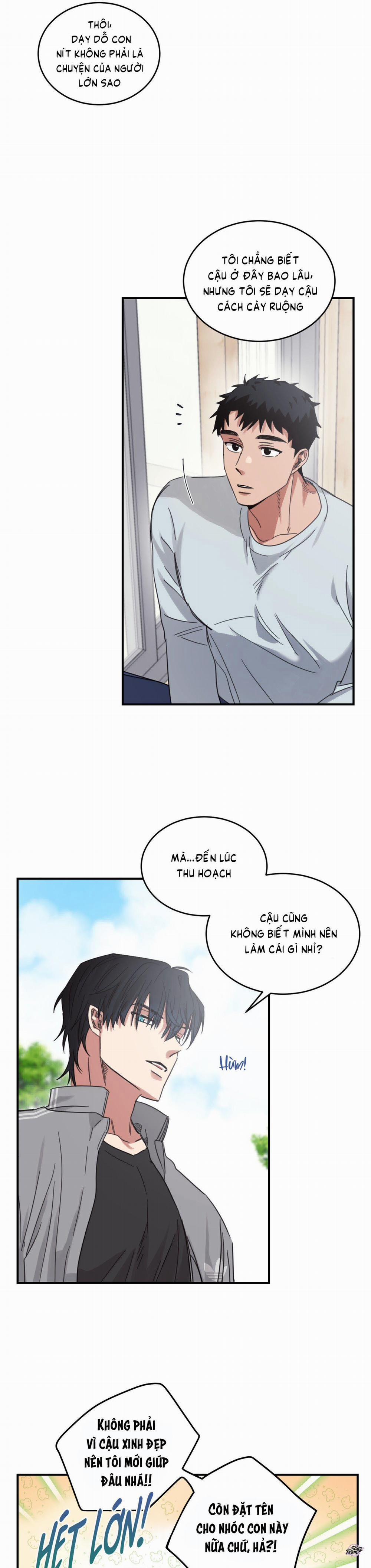 Căn Nhà Mặt Trời Mọc 4 trang 12