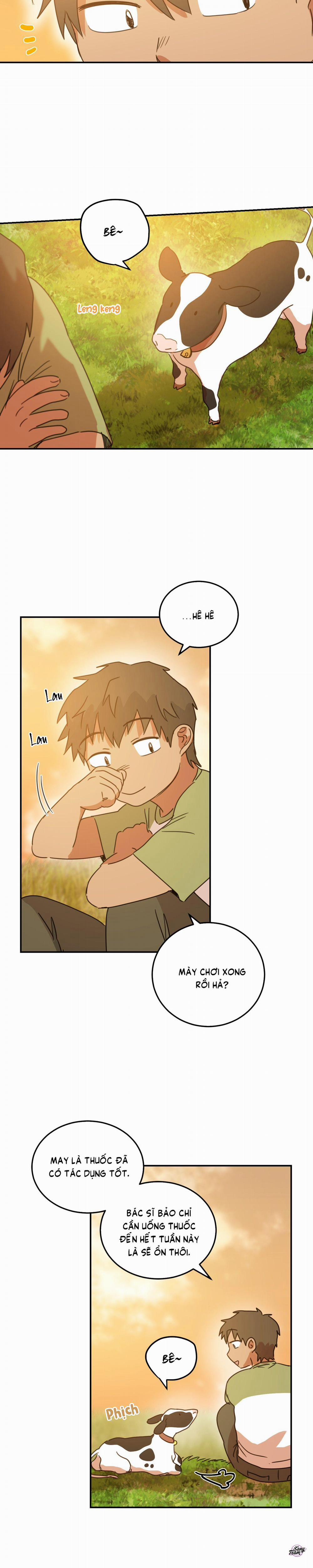 Căn Nhà Mặt Trời Mọc 45 trang 11