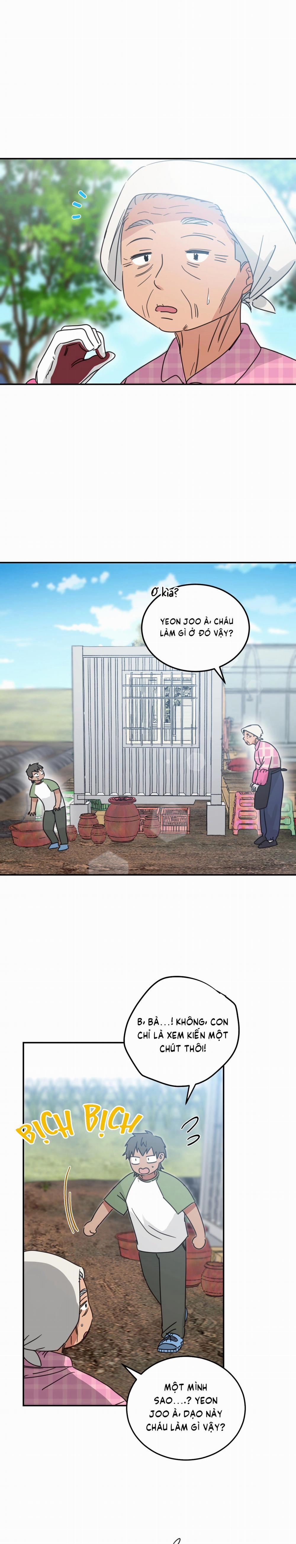 Căn Nhà Mặt Trời Mọc 47 trang 1