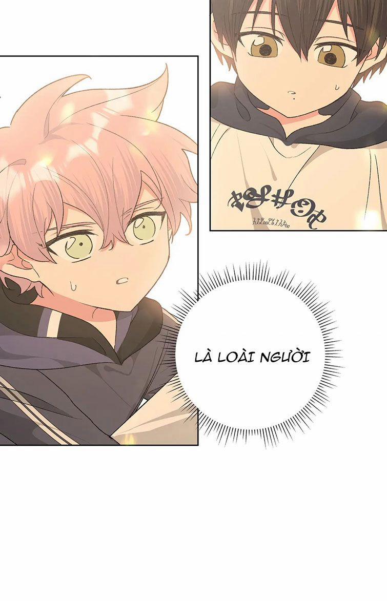 Cẩn Thận Bị Mộng Ma Ăn Sạch Đấy 81 trang 8