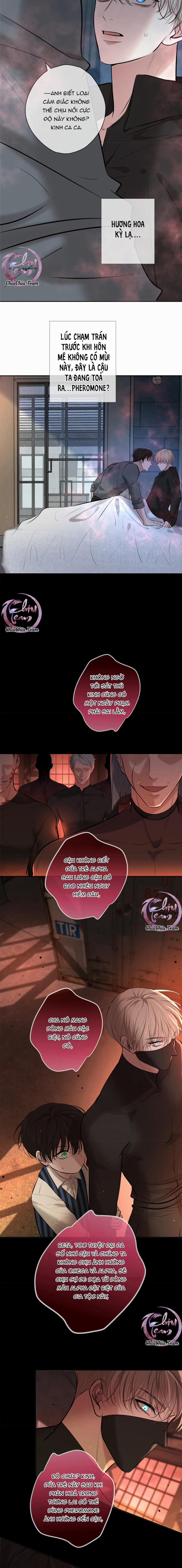 Cạn Tình 2 trang 10