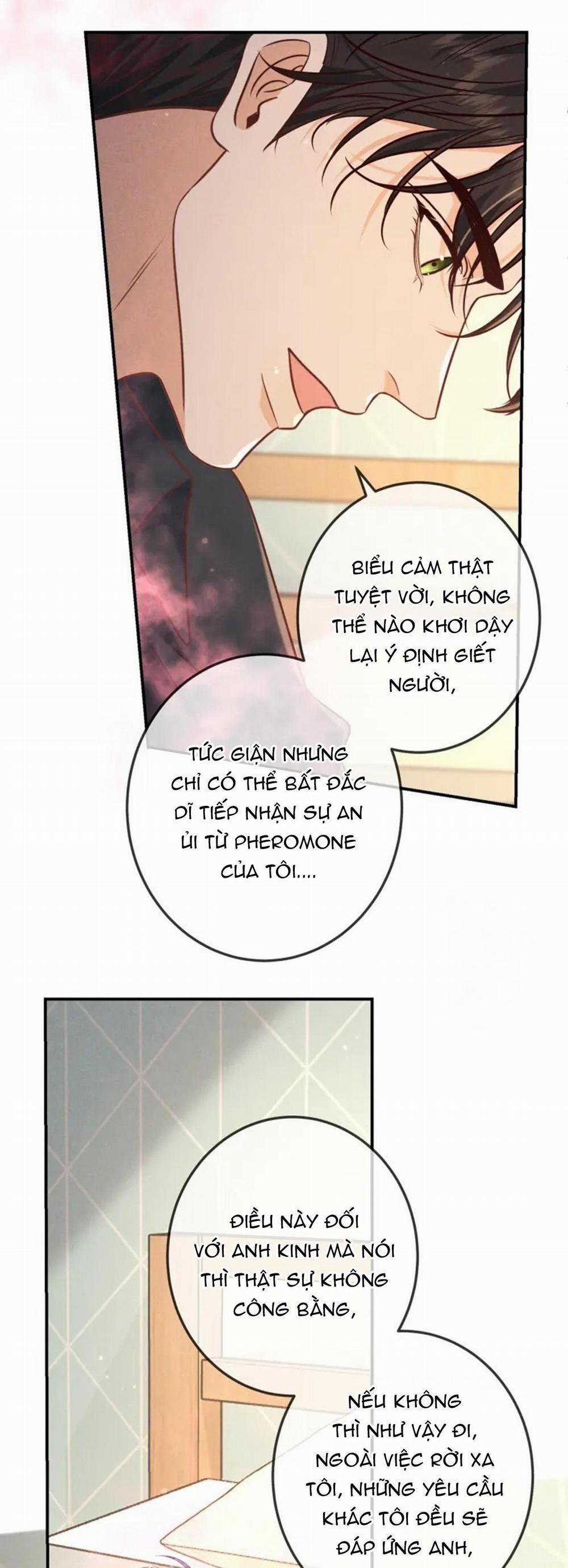 Cạn Tình 40 trang 16