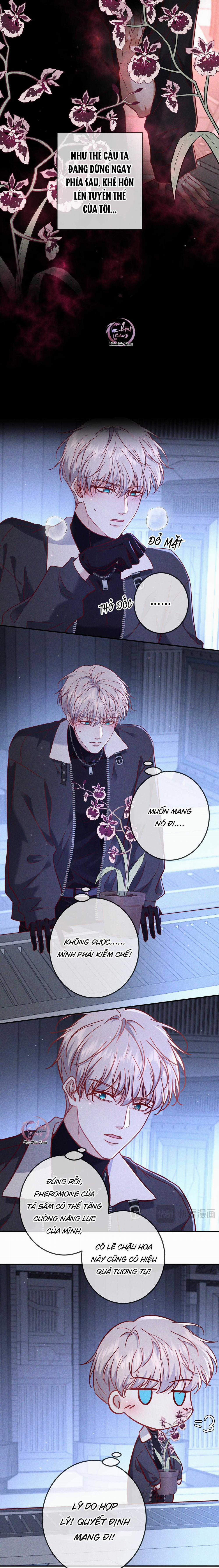 Cạn Tình 54 trang 4