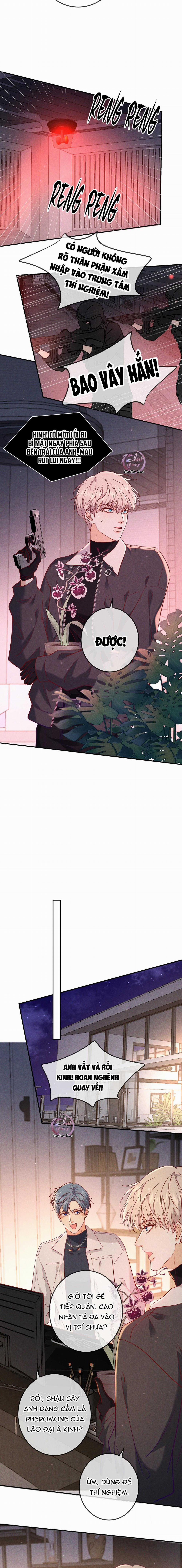 Cạn Tình 54 trang 5