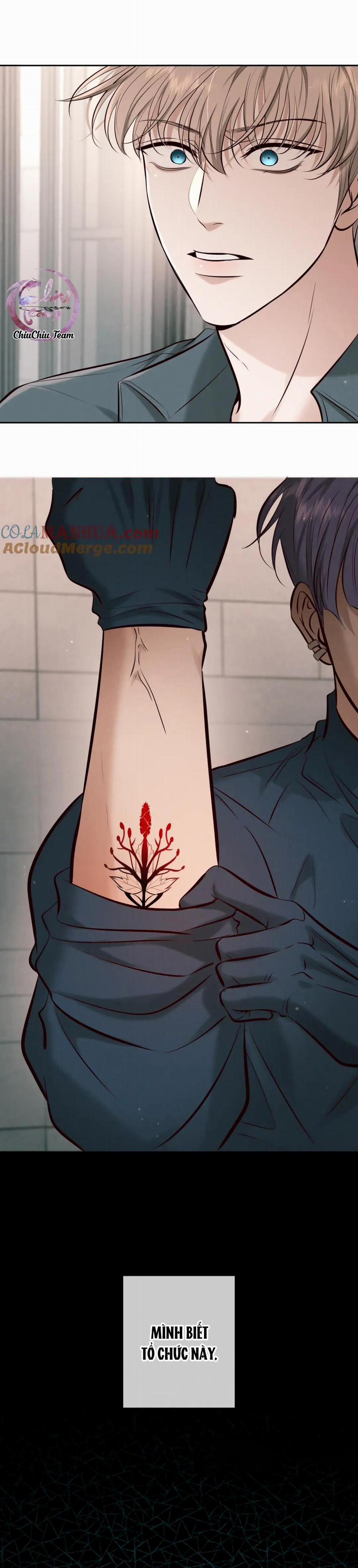 Cạn Tình 6 trang 17