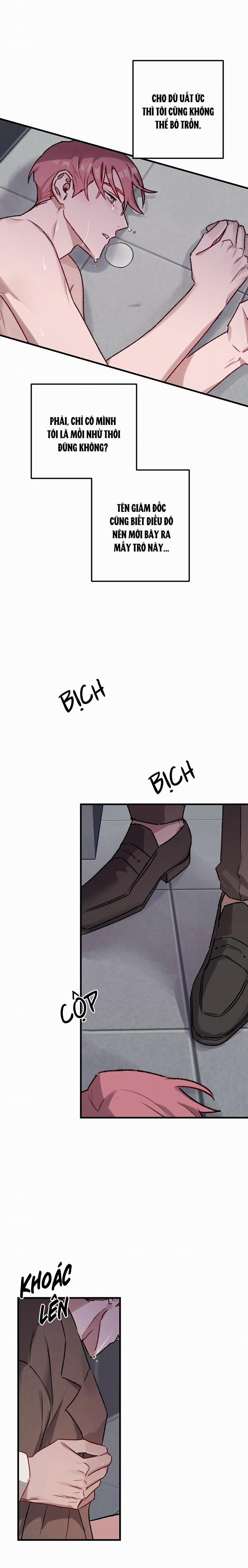 Cảnh Báo Bảo Mật 5 trang 24