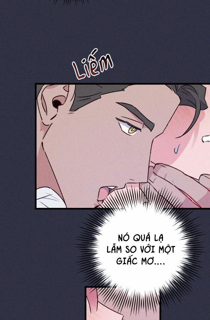 Cảnh Báo Bảo Mật 8 trang 11