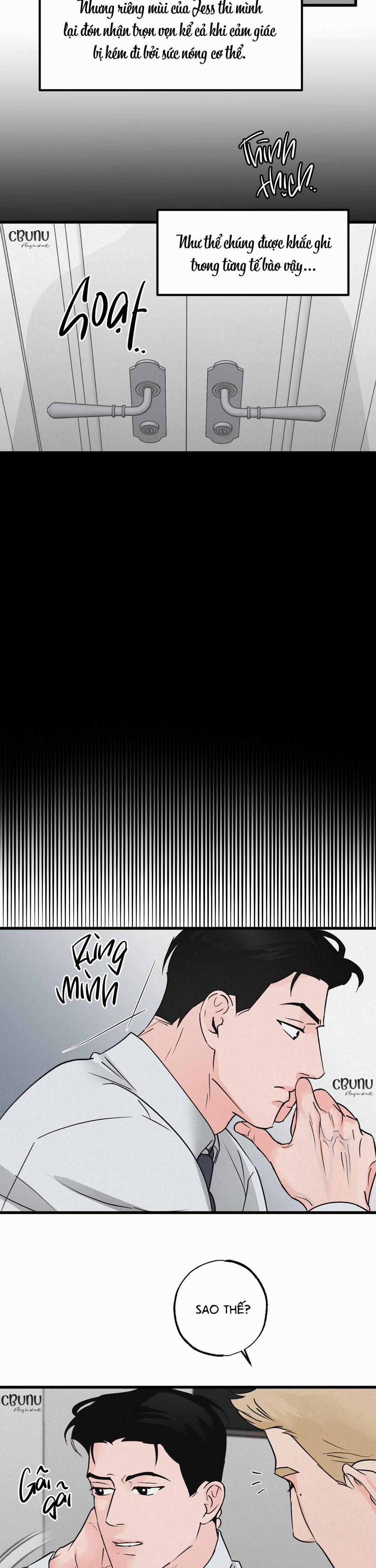 Cặp Bài Trùng 4 trang 14