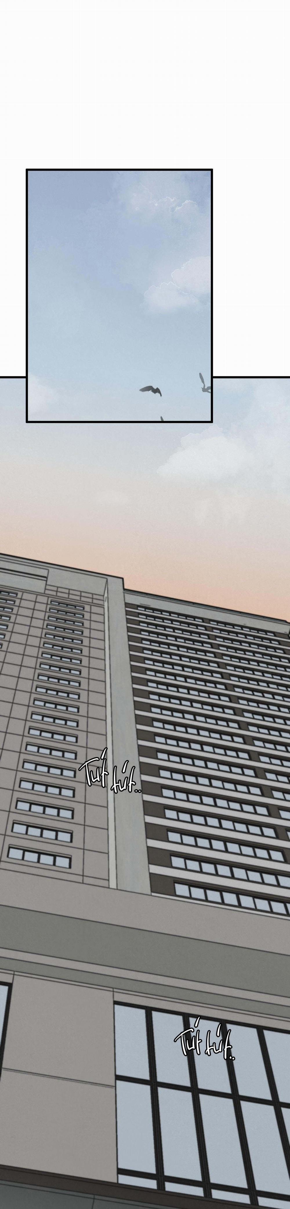 Cặp Bài Trùng 5 trang 1