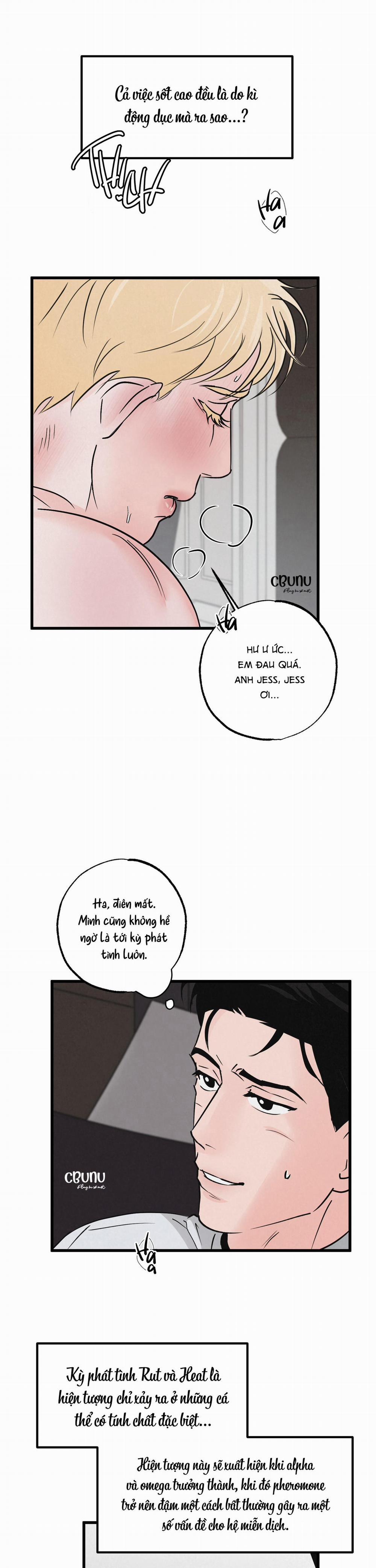 Cặp Bài Trùng 5 trang 21