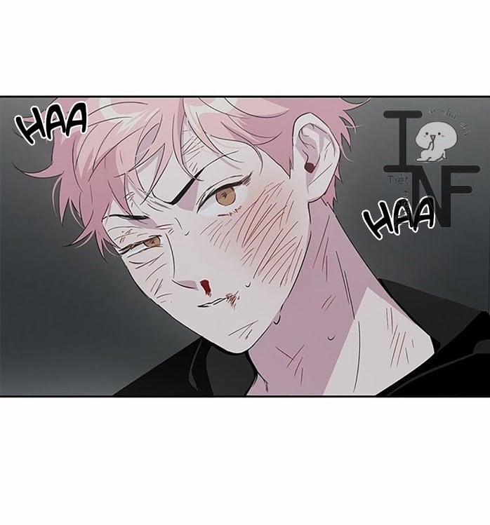 Cặp Đôi Điên Rồ 2 trang 14