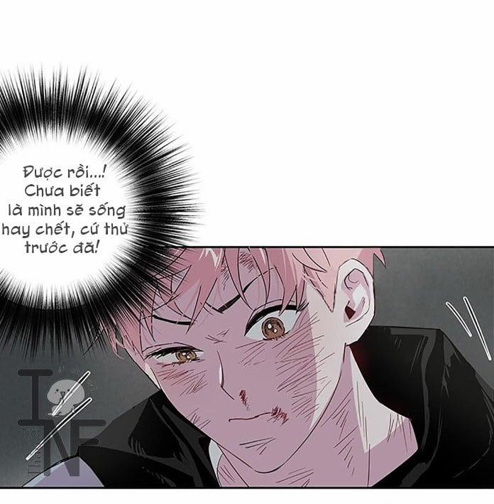 Cặp Đôi Điên Rồ 2 trang 25