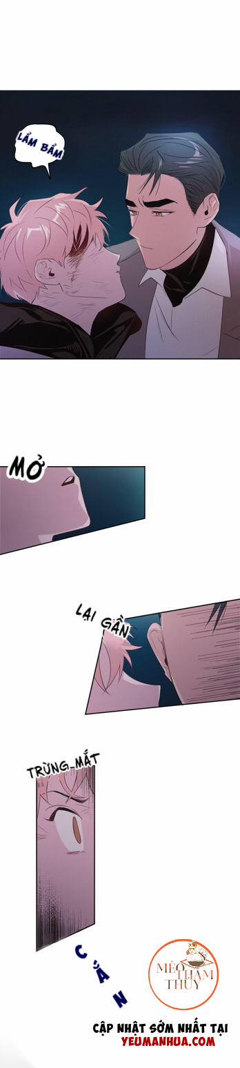 Cặp Đôi Điên Rồ 3 trang 14