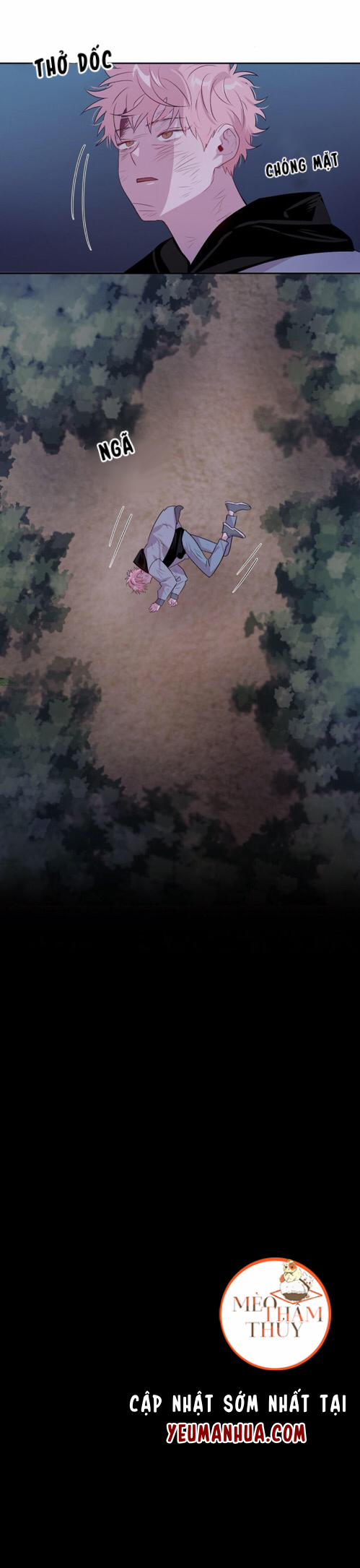 Cặp Đôi Điên Rồ 3 trang 23