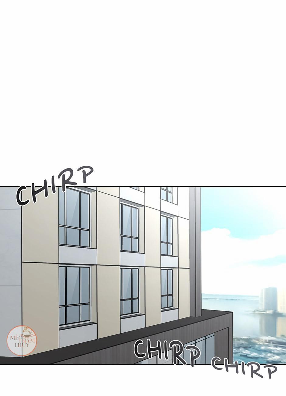 Cặp Đôi Điên Rồ 36 trang 0