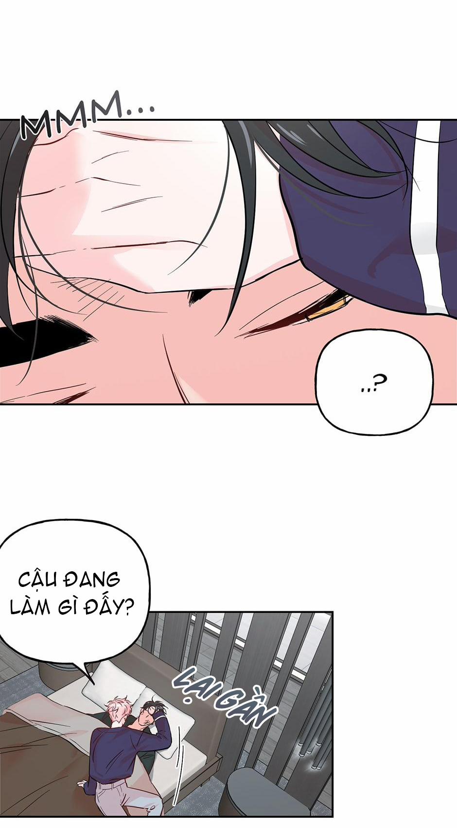 Cặp Đôi Điên Rồ 36 trang 1