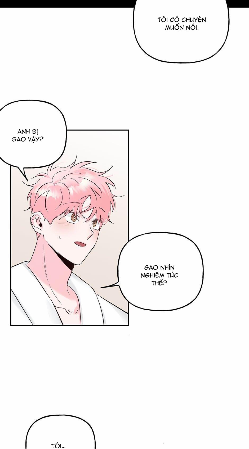 Cặp Đôi Điên Rồ 41 trang 1