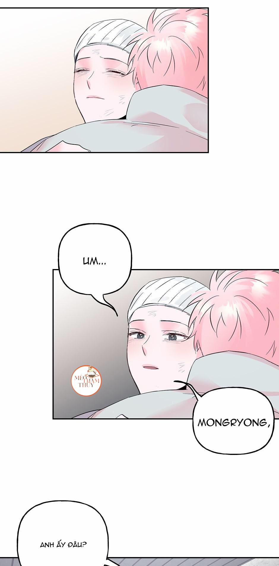 Cặp Đôi Điên Rồ 41 trang 15