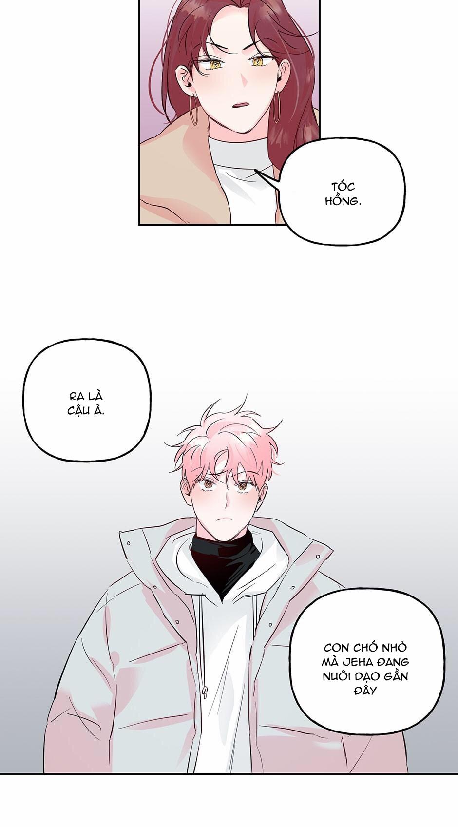 Cặp Đôi Điên Rồ 41 trang 26