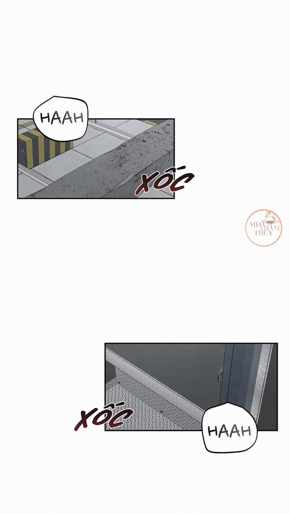 Cặp Đôi Điên Rồ 47 trang 0