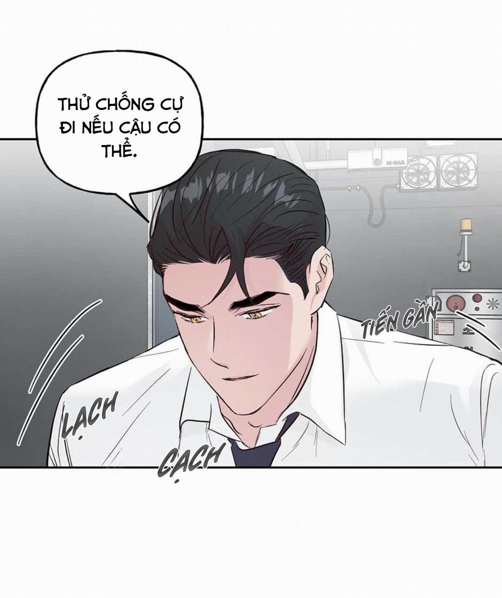 Cặp Đôi Điên Rồ 47 trang 28