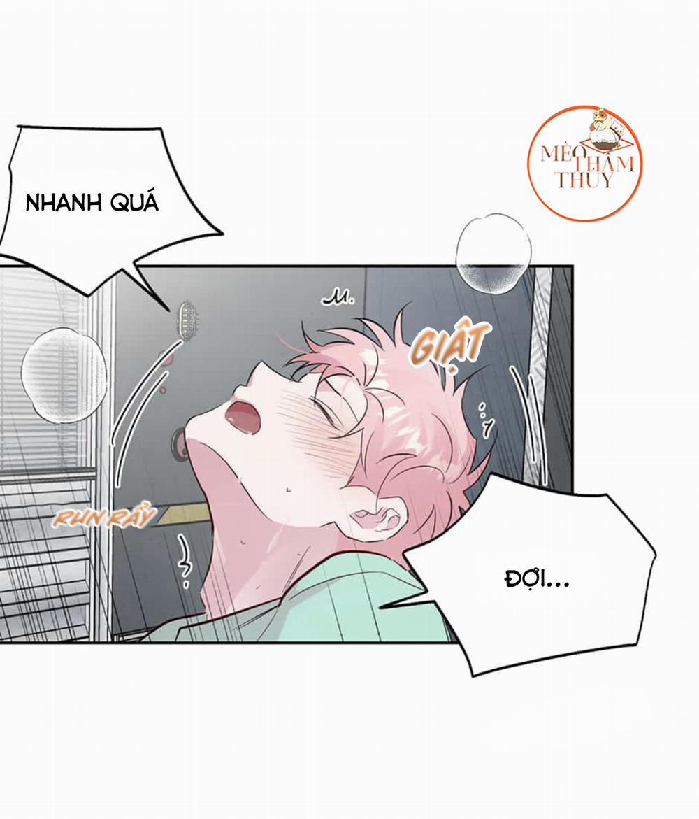 Cặp Đôi Điên Rồ 47 trang 42