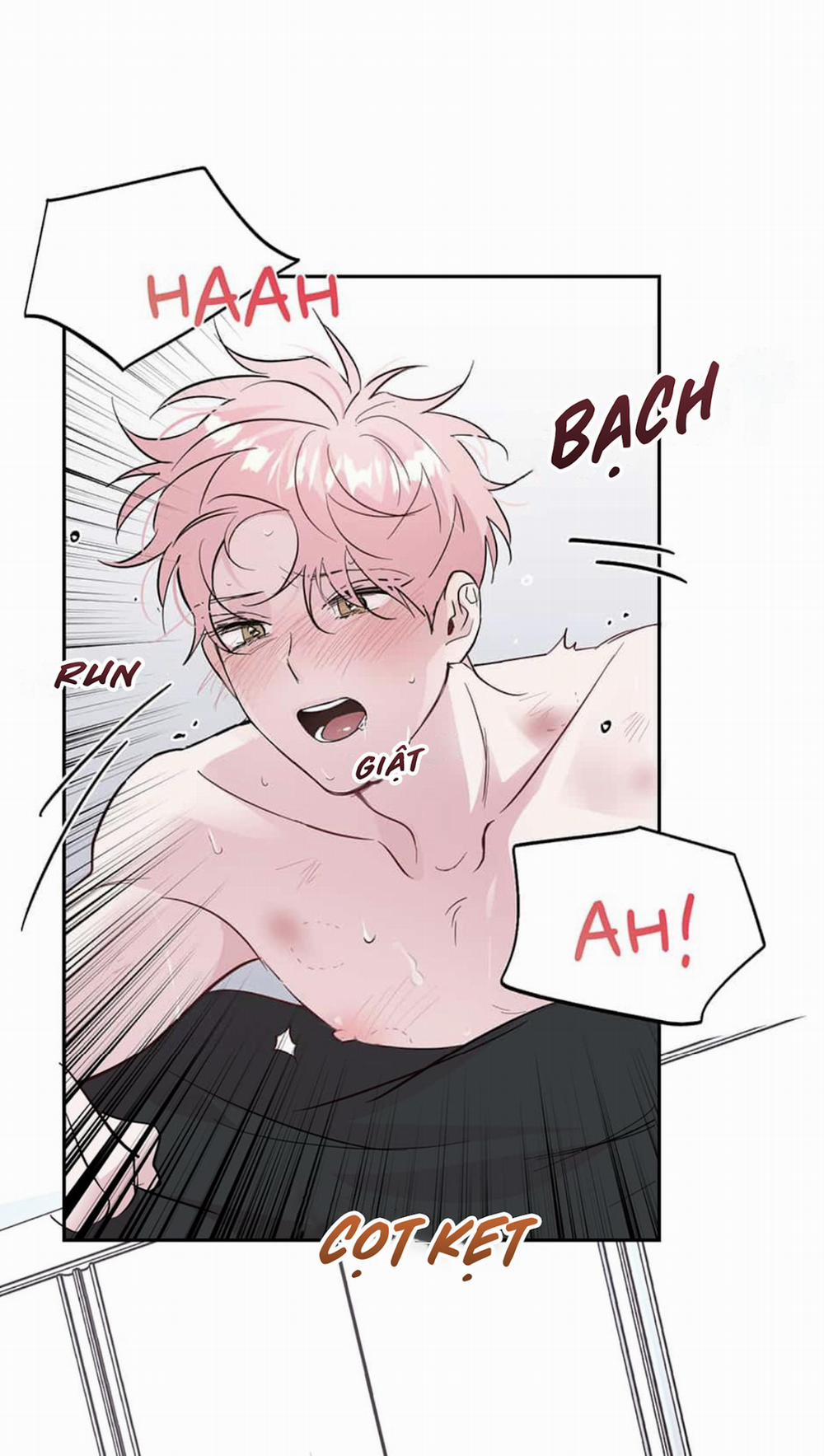 Cặp Đôi Điên Rồ 48 trang 1