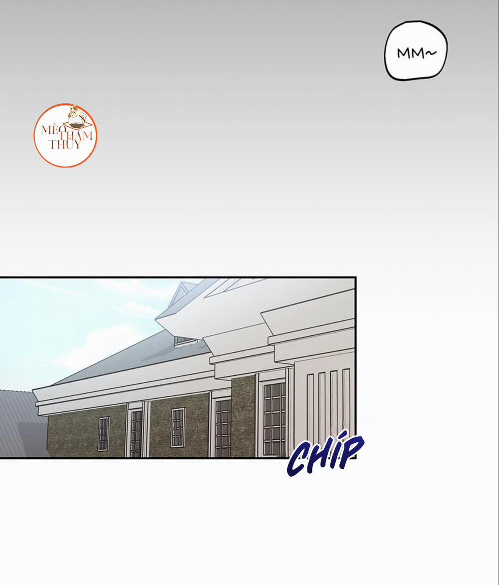 Cặp Đôi Điên Rồ 48 trang 15