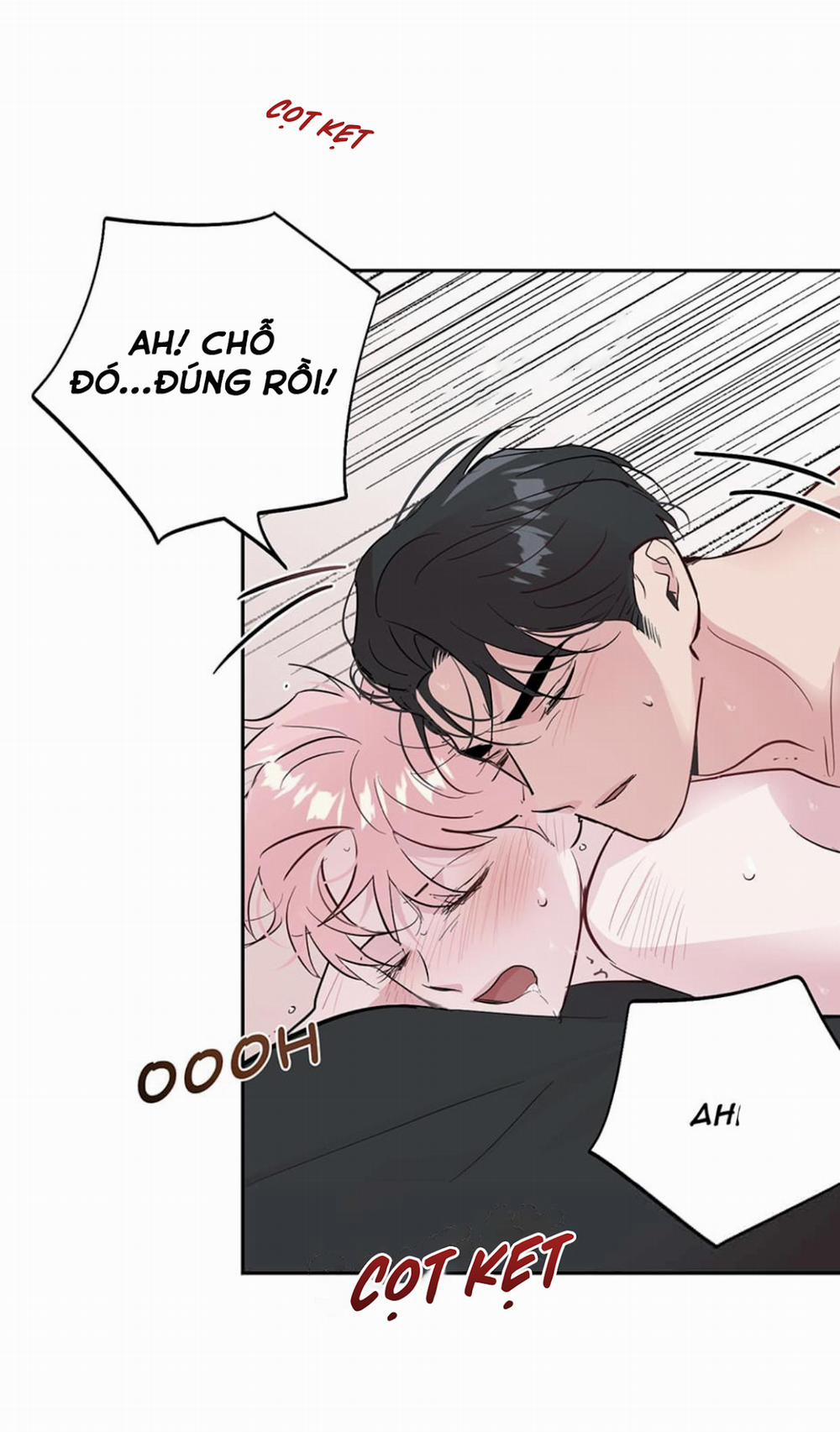 Cặp Đôi Điên Rồ 48 trang 3