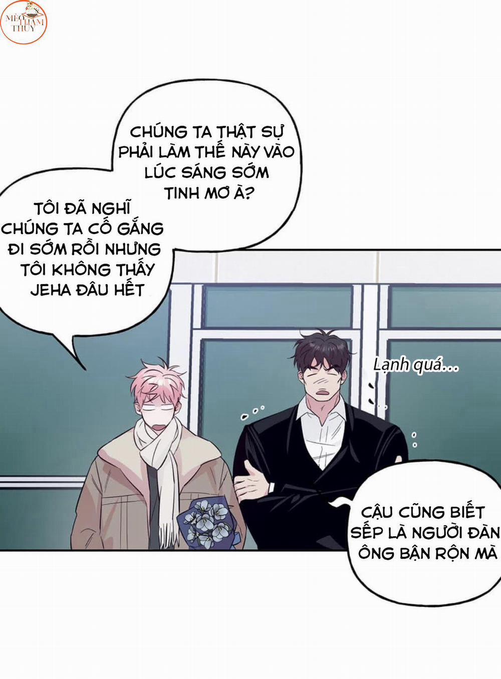 Cặp Đôi Điên Rồ 49 trang 1