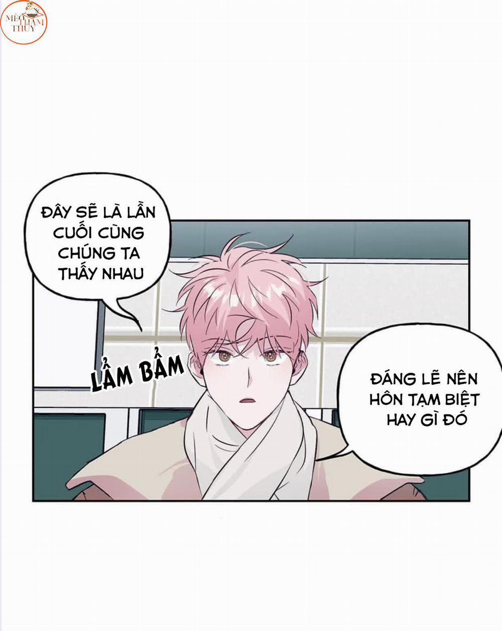 Cặp Đôi Điên Rồ 49 trang 12