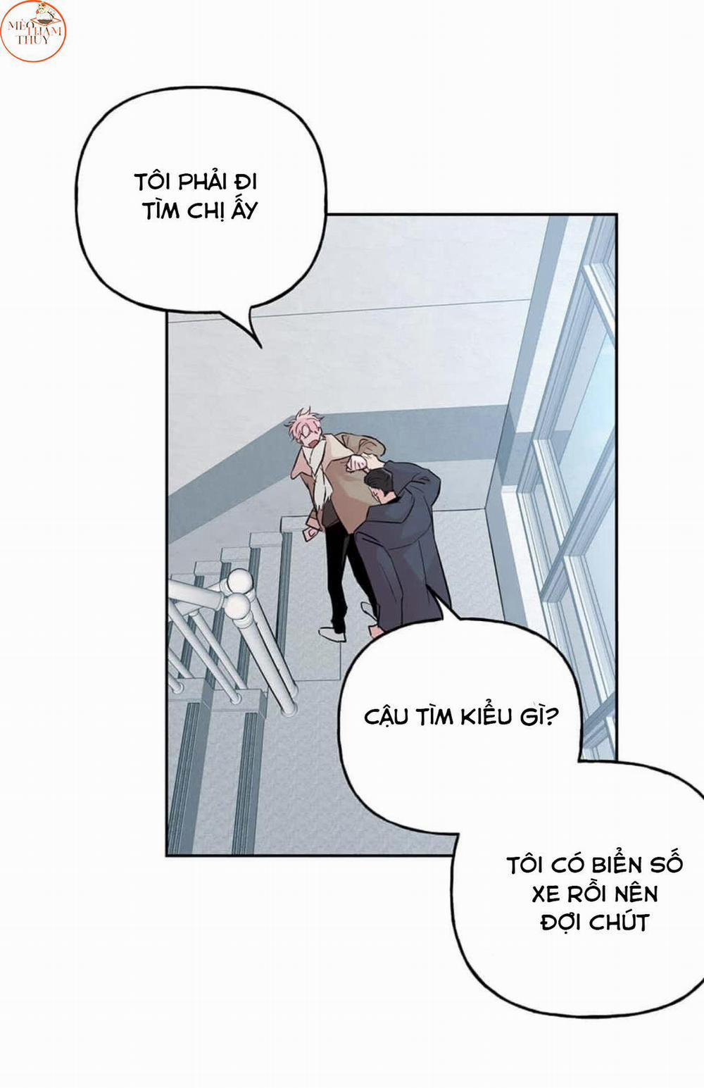 Cặp Đôi Điên Rồ 49 trang 24