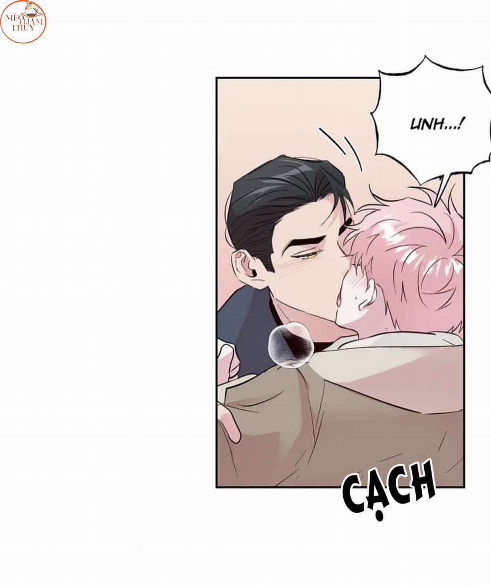 Cặp Đôi Điên Rồ 49 trang 38