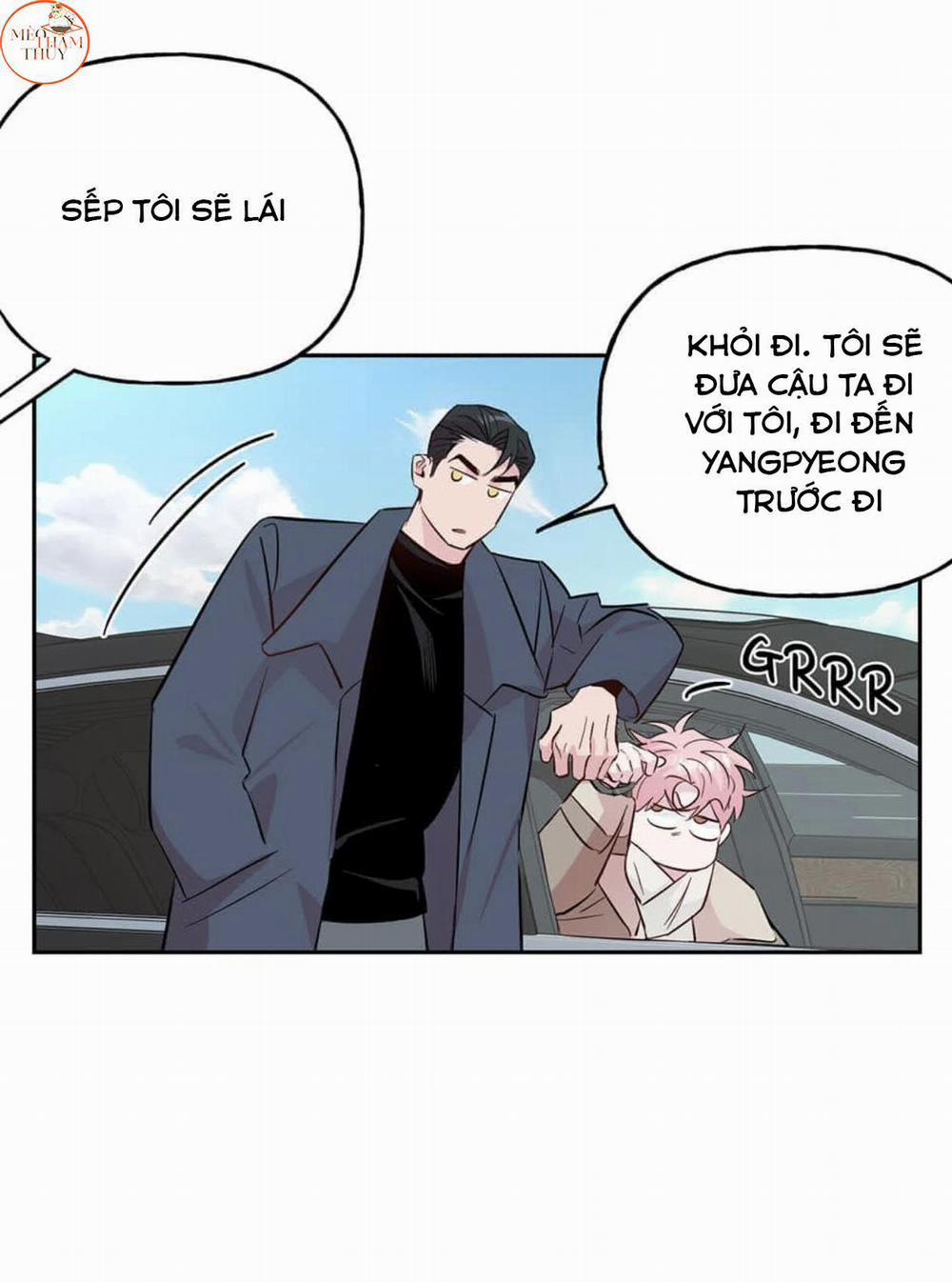 Cặp Đôi Điên Rồ 49 trang 46