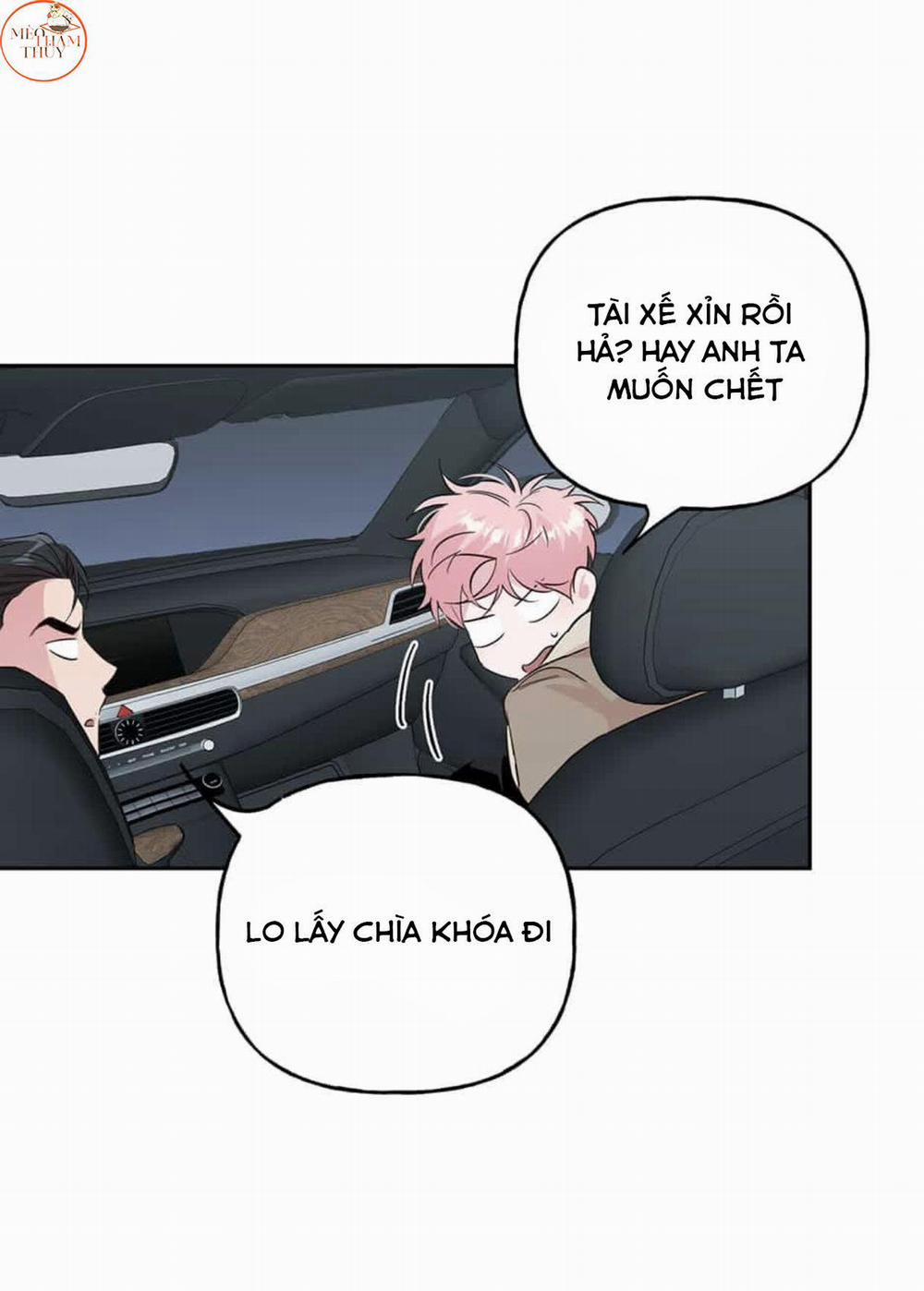 Cặp Đôi Điên Rồ 49 trang 64