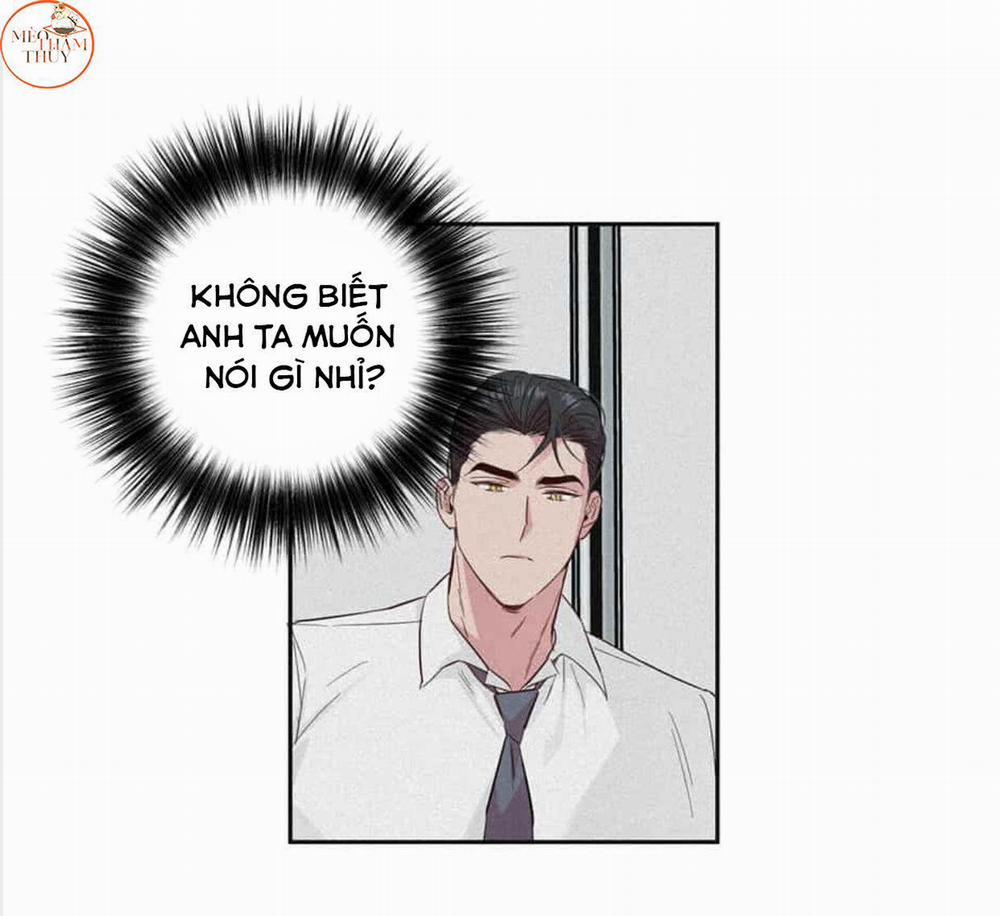 Cặp Đôi Điên Rồ 49 trang 8