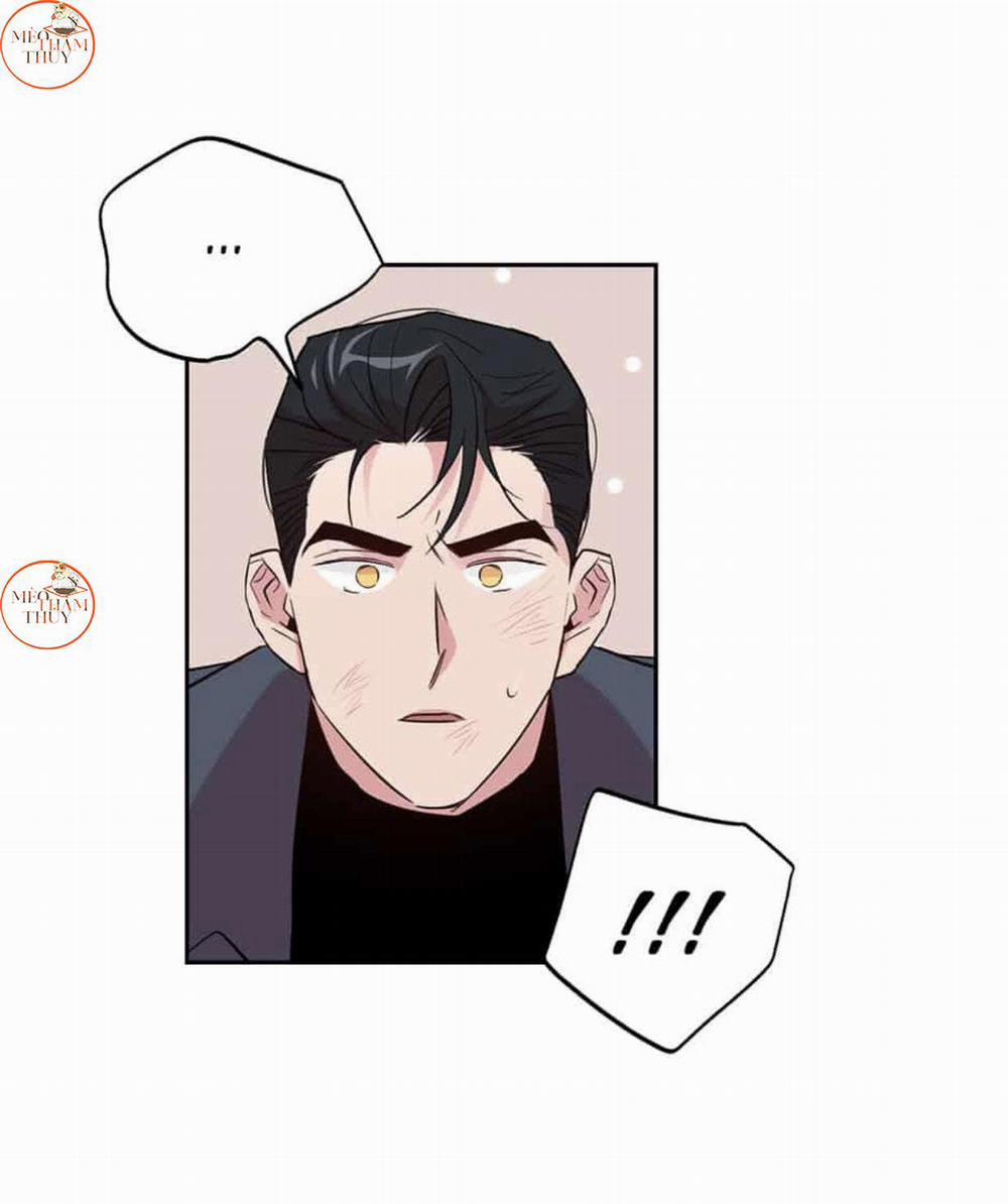 Cặp Đôi Điên Rồ 50 trang 44