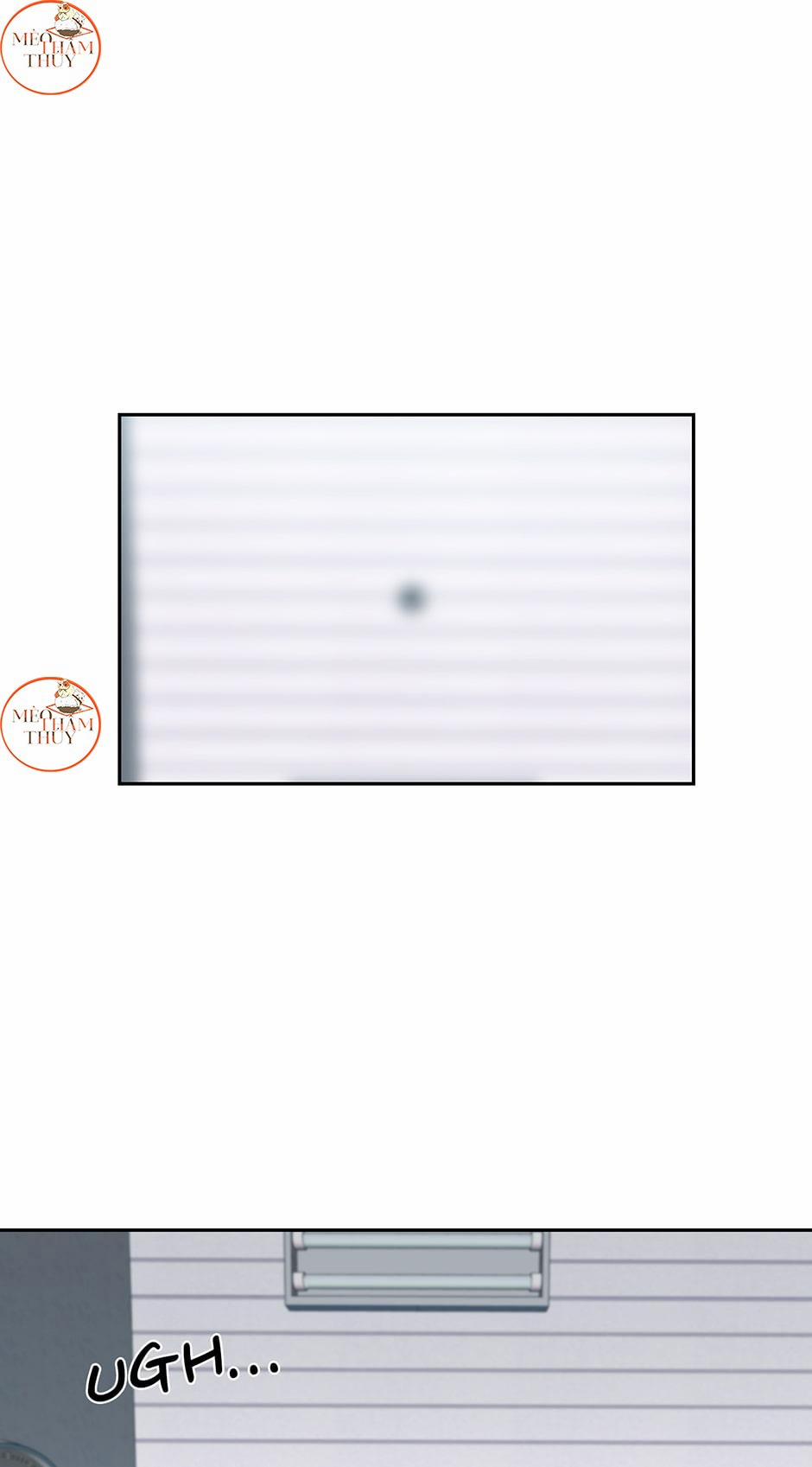 Cặp Đôi Điên Rồ 51 trang 1