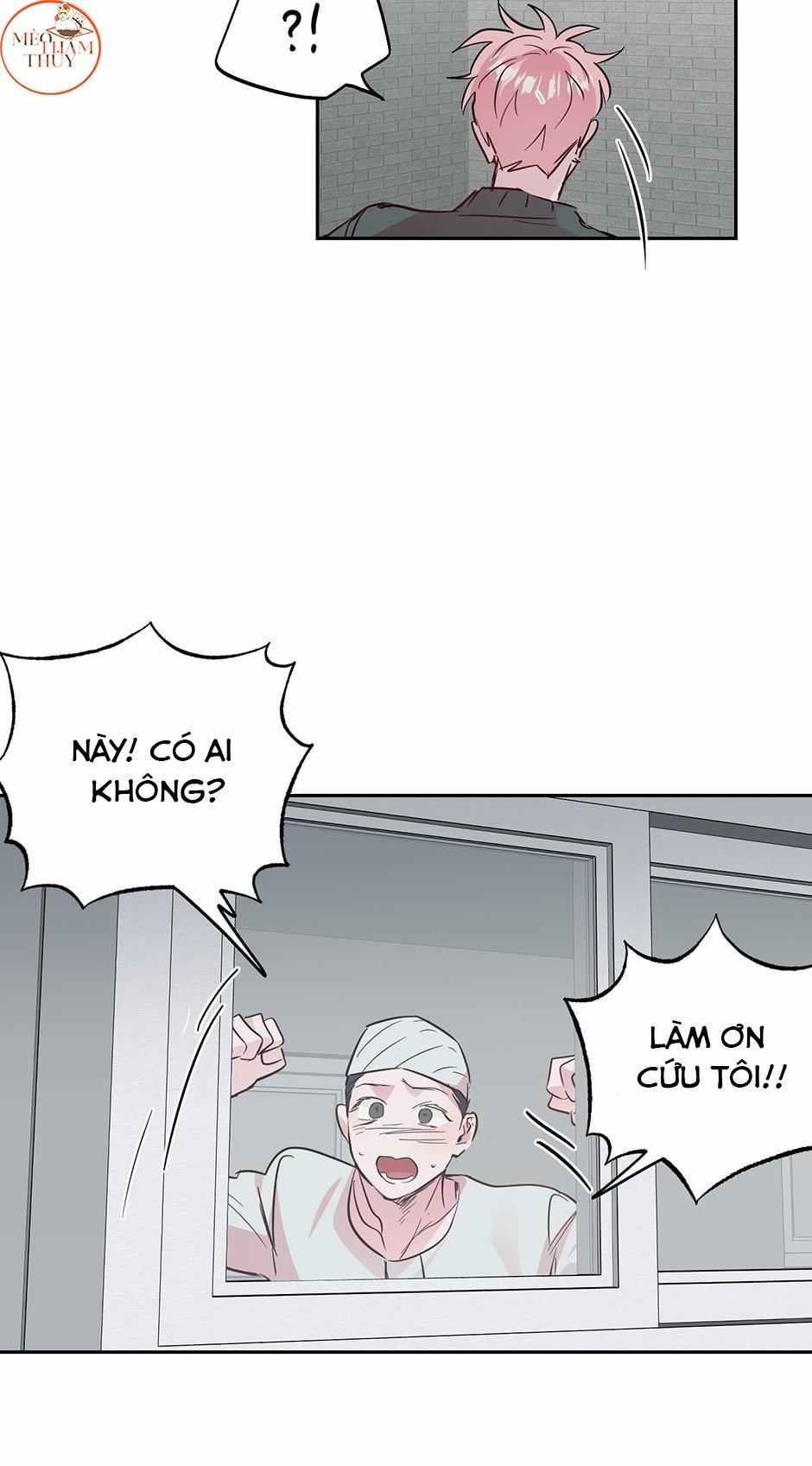 Cặp Đôi Điên Rồ 51 trang 15