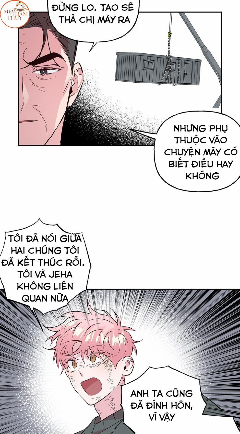 Cặp Đôi Điên Rồ 51 trang 19