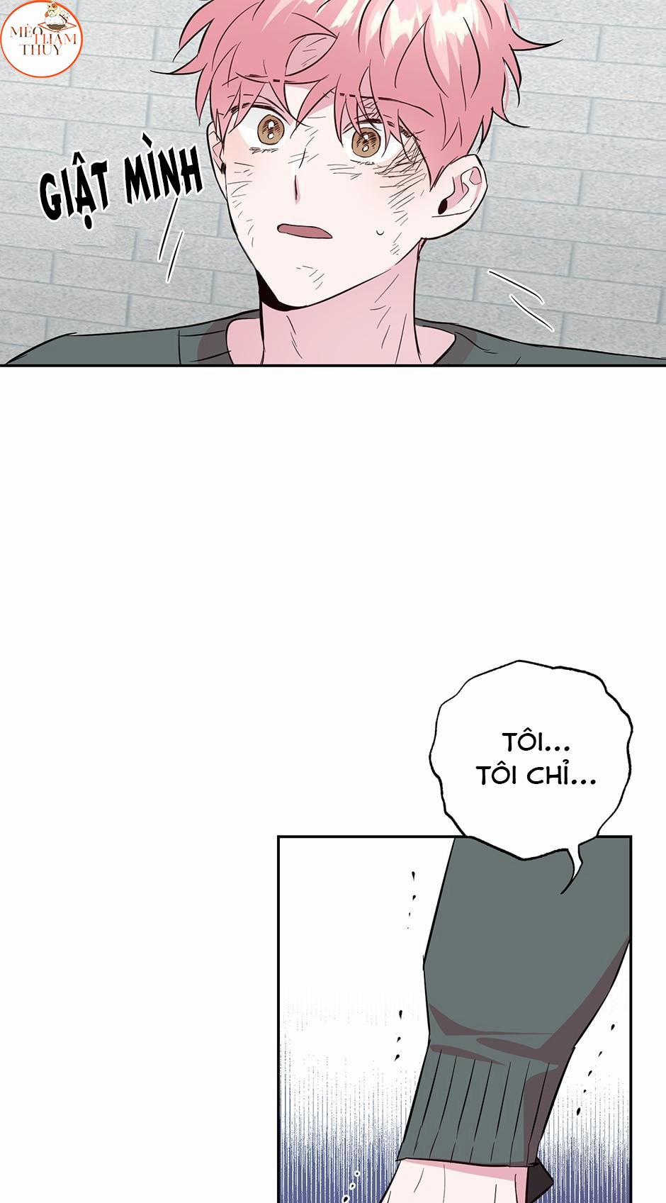 Cặp Đôi Điên Rồ 51 trang 31