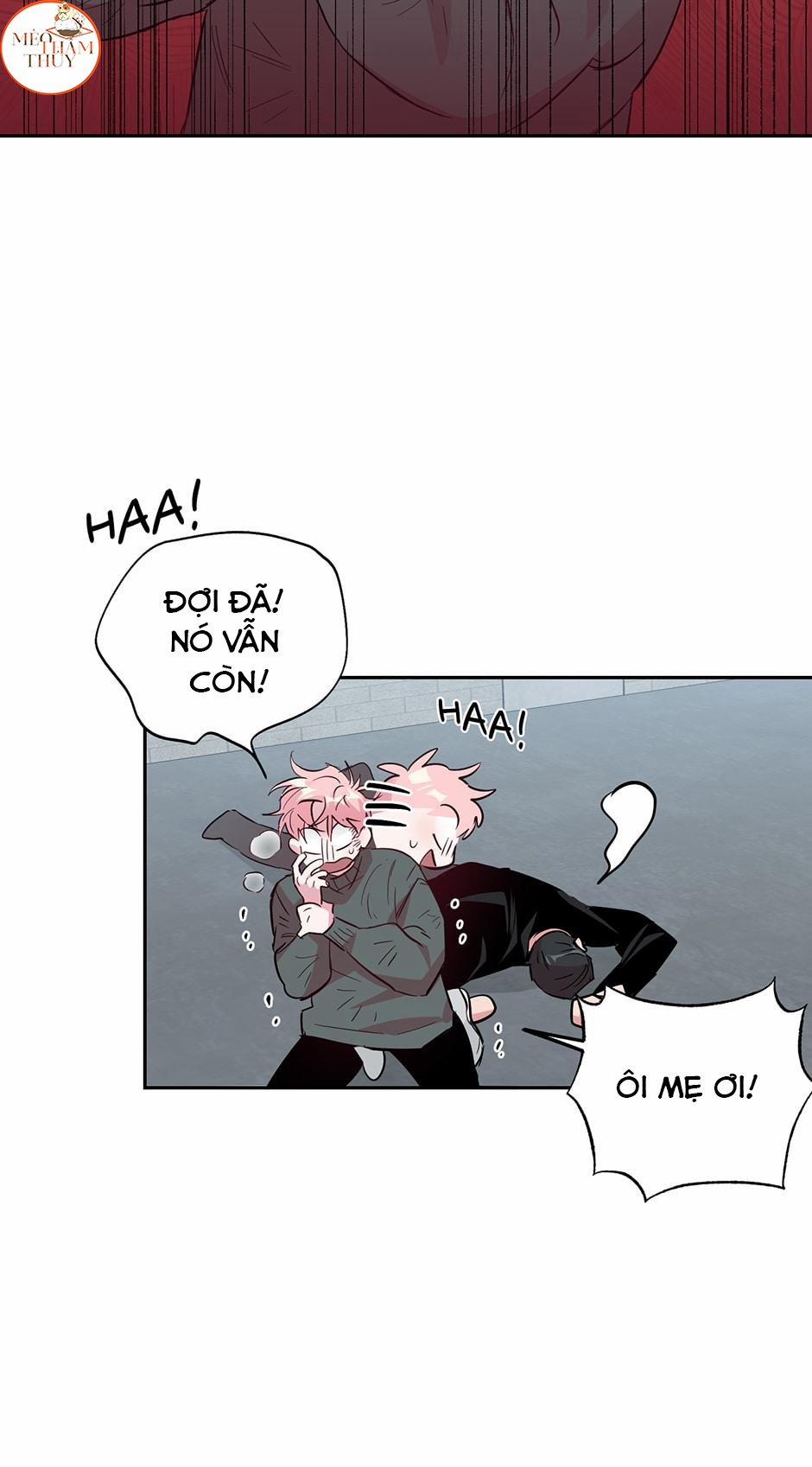 Cặp Đôi Điên Rồ 51 trang 5