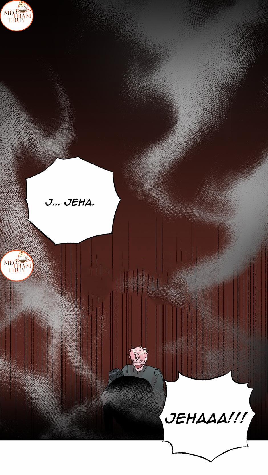 Cặp Đôi Điên Rồ 52 trang 0