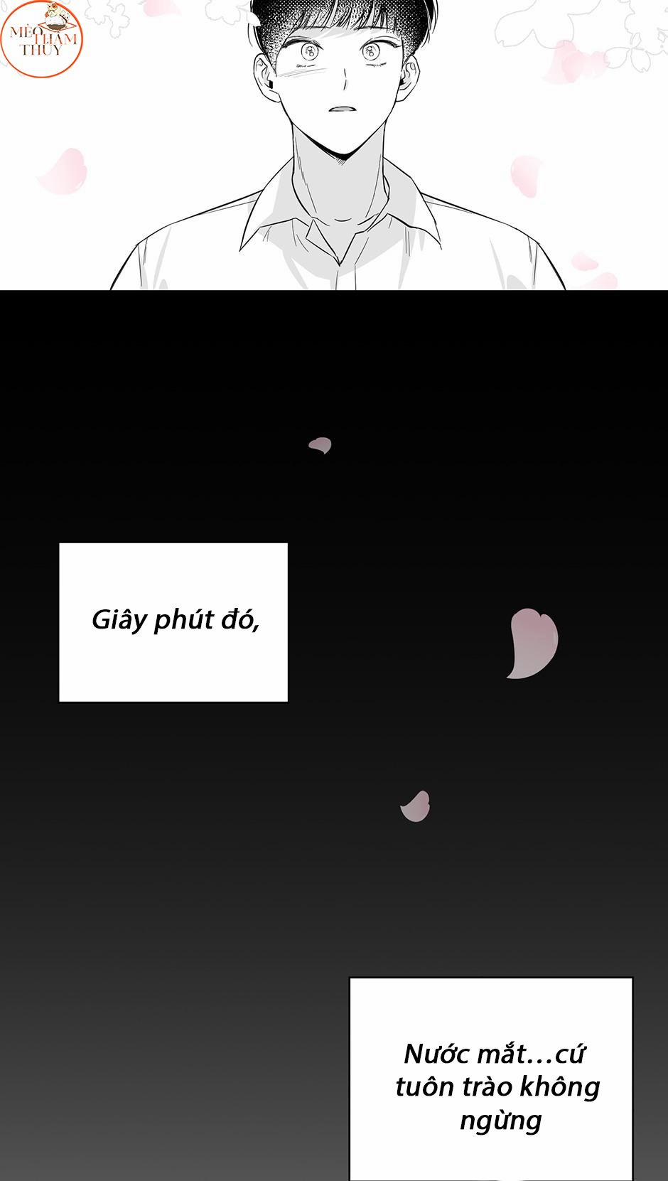 Cặp Đôi Điên Rồ 52 trang 18