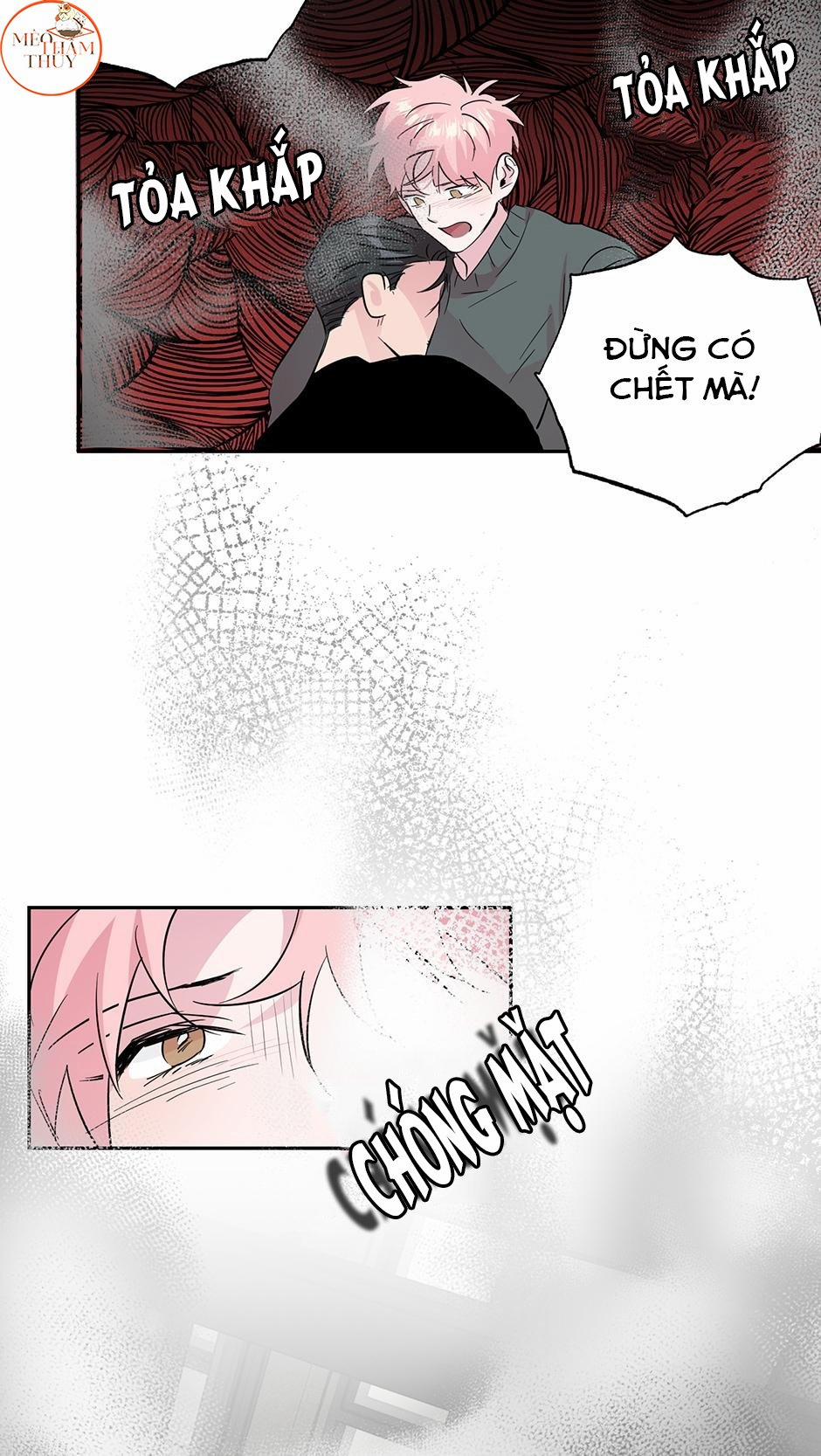 Cặp Đôi Điên Rồ 52 trang 2