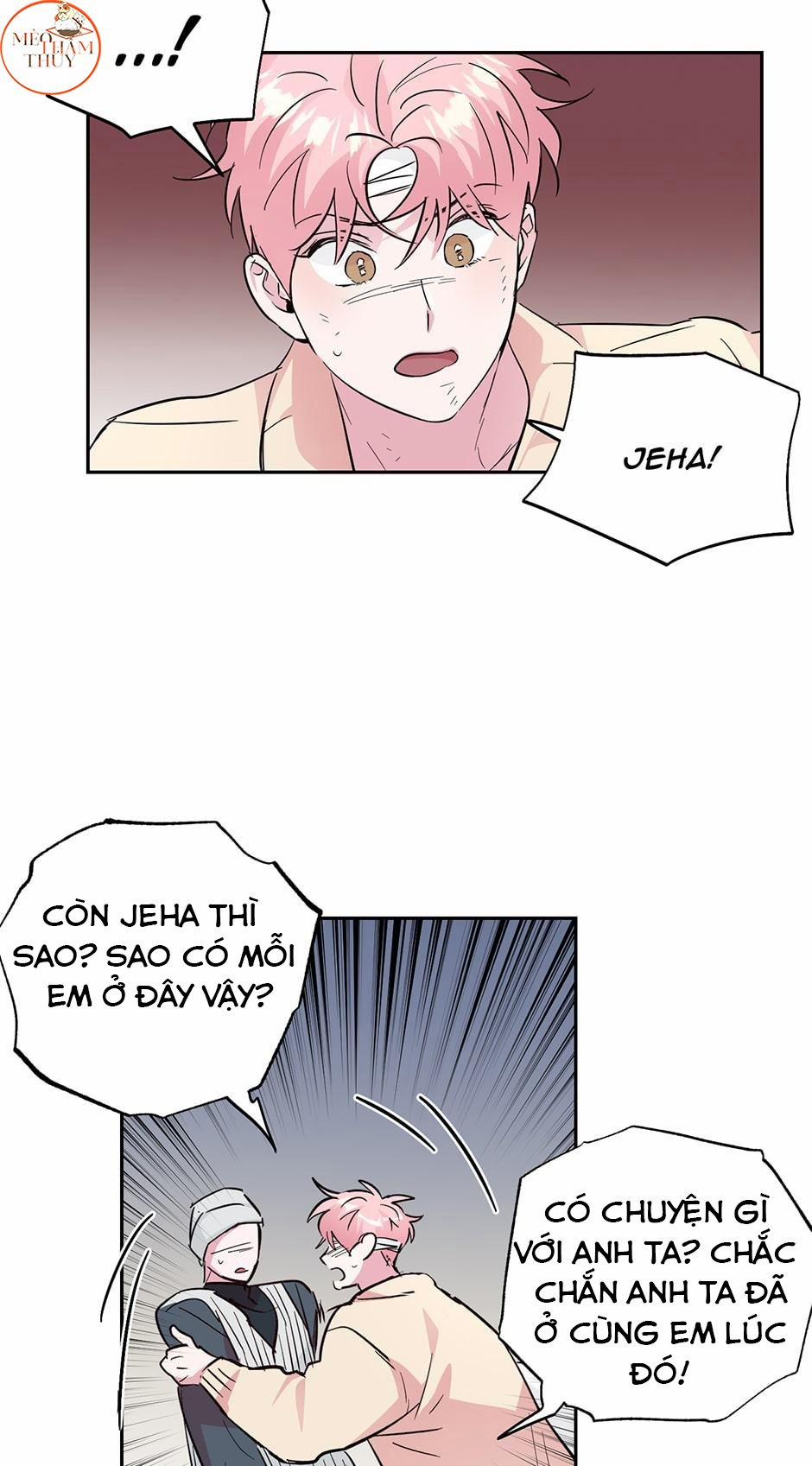 Cặp Đôi Điên Rồ 52 trang 22
